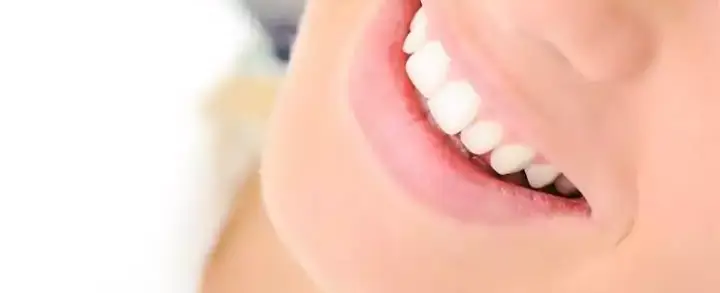 Dentes incisivos: o que são e quais as suas importâncias?